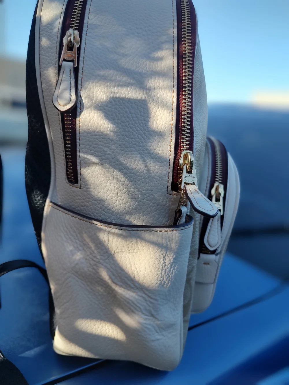 Coach Beige Signature Tiger Backpack